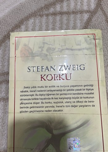 Stefan Zweig - Korku Romanı - Görsel 2