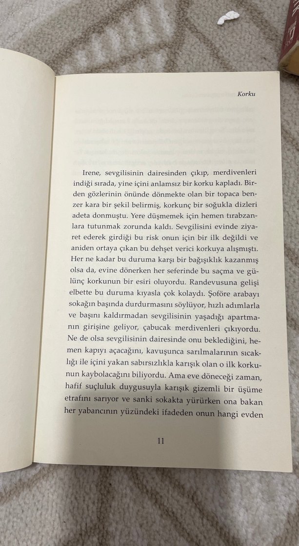 Stefan Zweig - Korku Romanı - Görsel 3