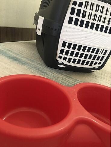  Kedi box?ı