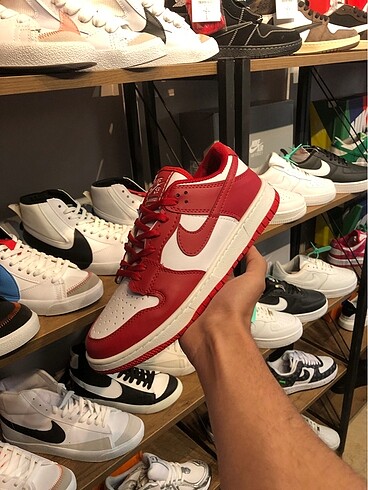 Nike Sb Dunk