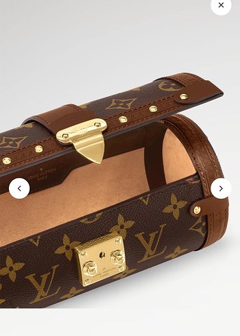 Louis Vuitton LOUİS VUİTTON PAPİLLON TRUNK BAG