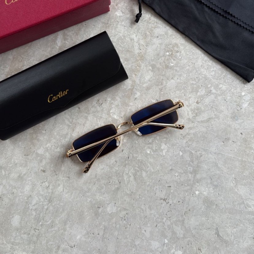 CARTIER SUNGLASSES - Görsel 5