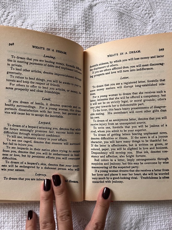 The Wordsworth Rüyalar Sözlüğü Kitabı - Görsel 3