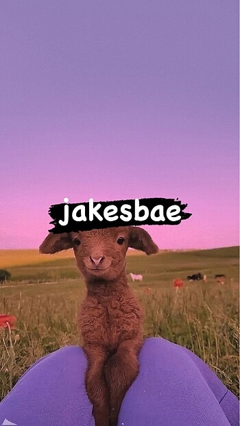 ceyhan jakesbae
