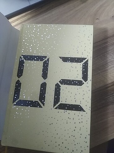  02:02 ayçiceği karnavalı 