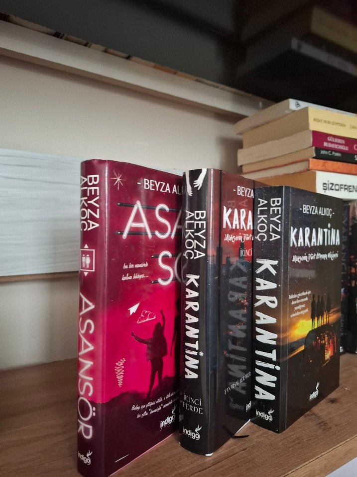 Beyza Alkoç Üçlemesi: Karantina 1 ve 2, asansör - Görsel 2