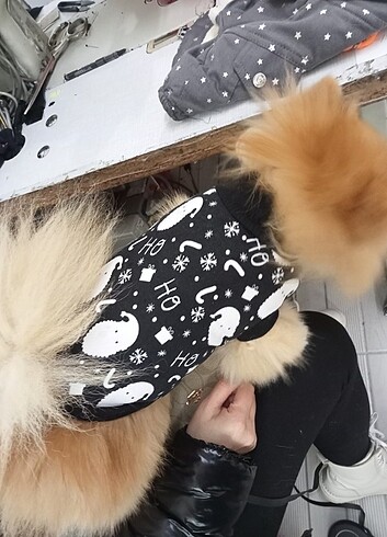 Beden KEDİ ???????? KÖPEK KIYAFETİ KAZAK S