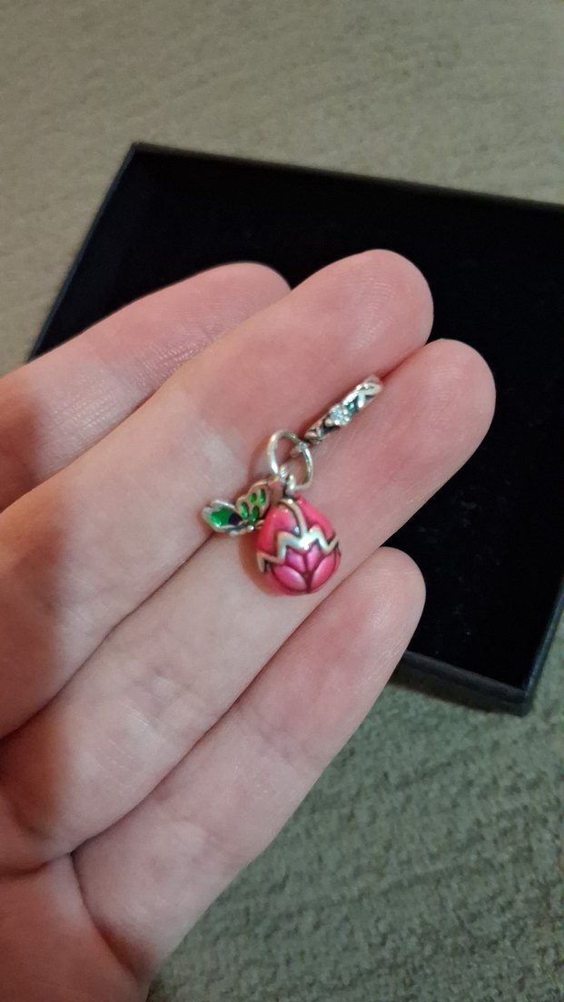 Renkli çelik Charm — görsel 2/2