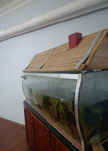 Büyük Akvaryum - Görsel 2