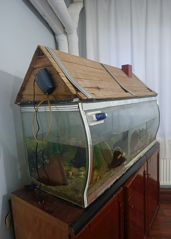 Büyük Akvaryum - Görsel 3