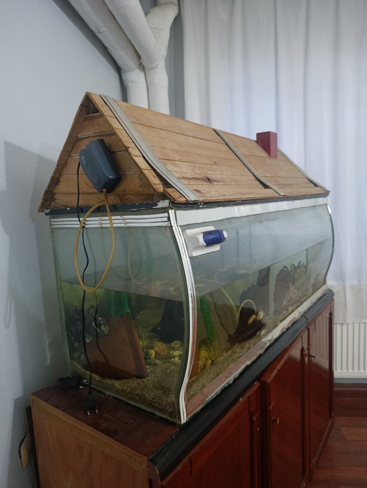 Büyük Akvaryum - Görsel 3