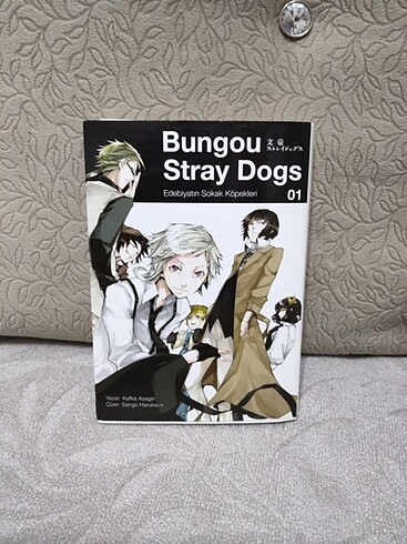 Bungou stray dos
