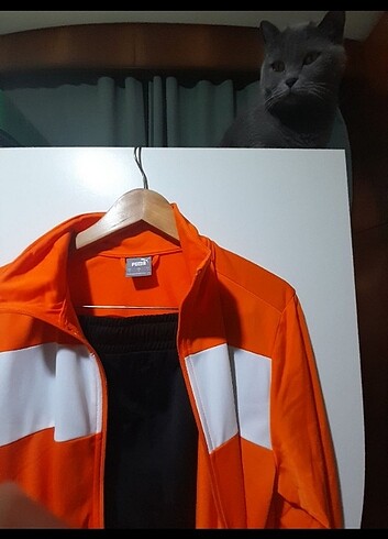m Beden turuncu Renk Puma eşofman takimi
