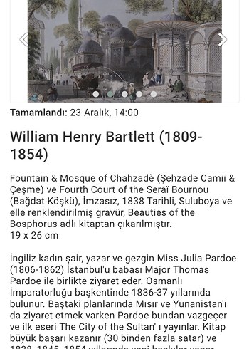 APLİK TABLOLAR / W. Henry Bartlett - Görsel 8