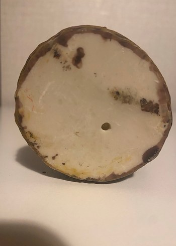 DENİZCİ / TAYFA KIZ - Görsel 7