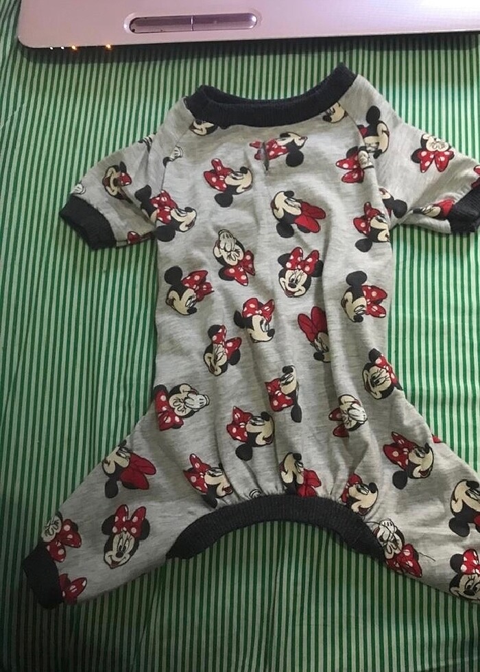 Küçük ırk köpek, kedi kıyafeti - Görsel 2