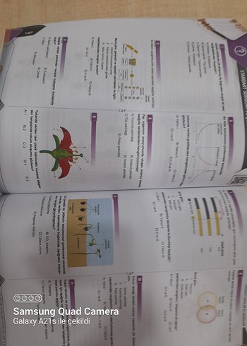 Bitki Biyolojisi Soru Fasikülü
