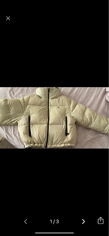 calvin klein mont