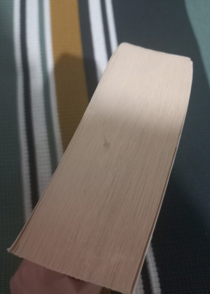 Şu Çılgın Türkler - Görsel 2