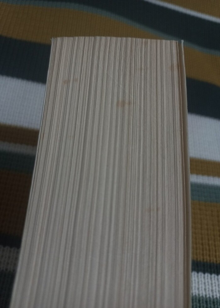 Şu Çılgın Türkler - Görsel 3