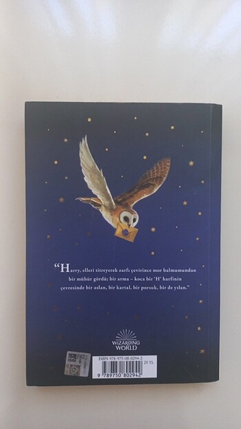 Harry Potter ve Felsefe Taşı - Görsel 2