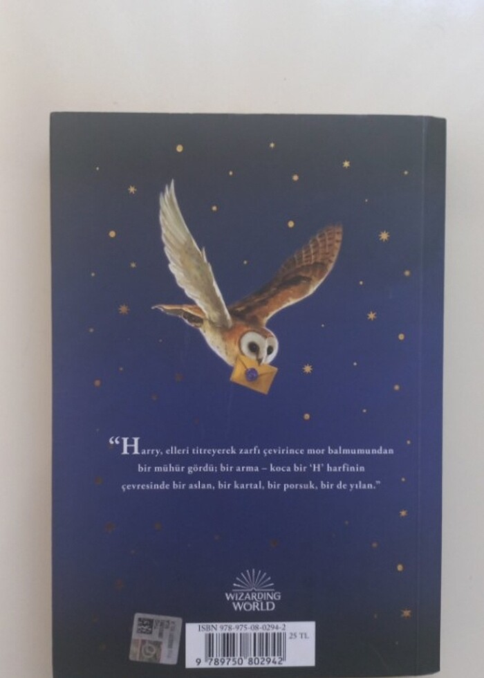 Harry Potter ve Felsefe Taşı - Görsel 2