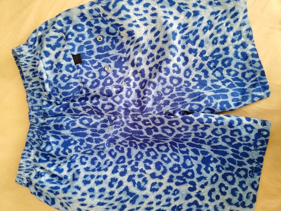 Mavi Leopar Desenli Rahat Kesim Deniz Şortu - Görsel 5