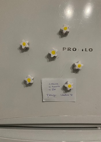 Beyaz Papatyalı Buzdolabı Magneti - Görsel 3