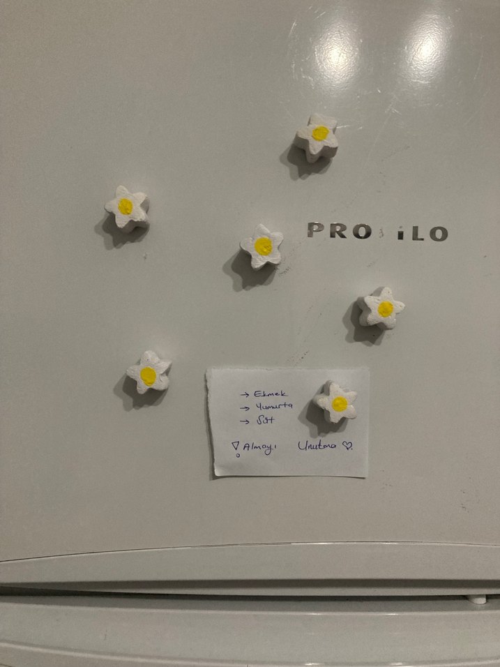 Beyaz Papatyalı Buzdolabı Magneti - Görsel 3