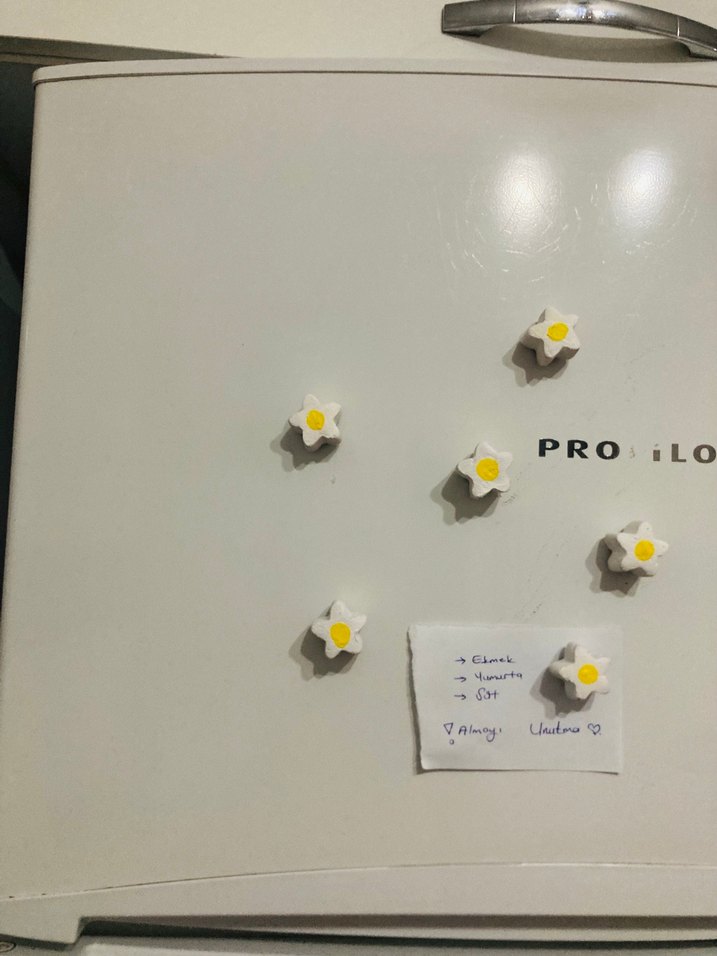 Beyaz Papatyalı Buzdolabı Magneti - Görsel 2