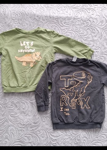 Gri Erkek Çocuk Uzun Kollu Sweatshirt - Görsel 4