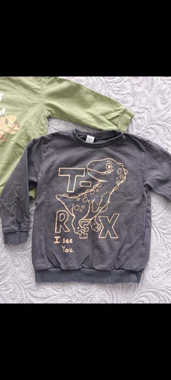 Gri Erkek Çocuk Uzun Kollu Sweatshirt - Görsel 5