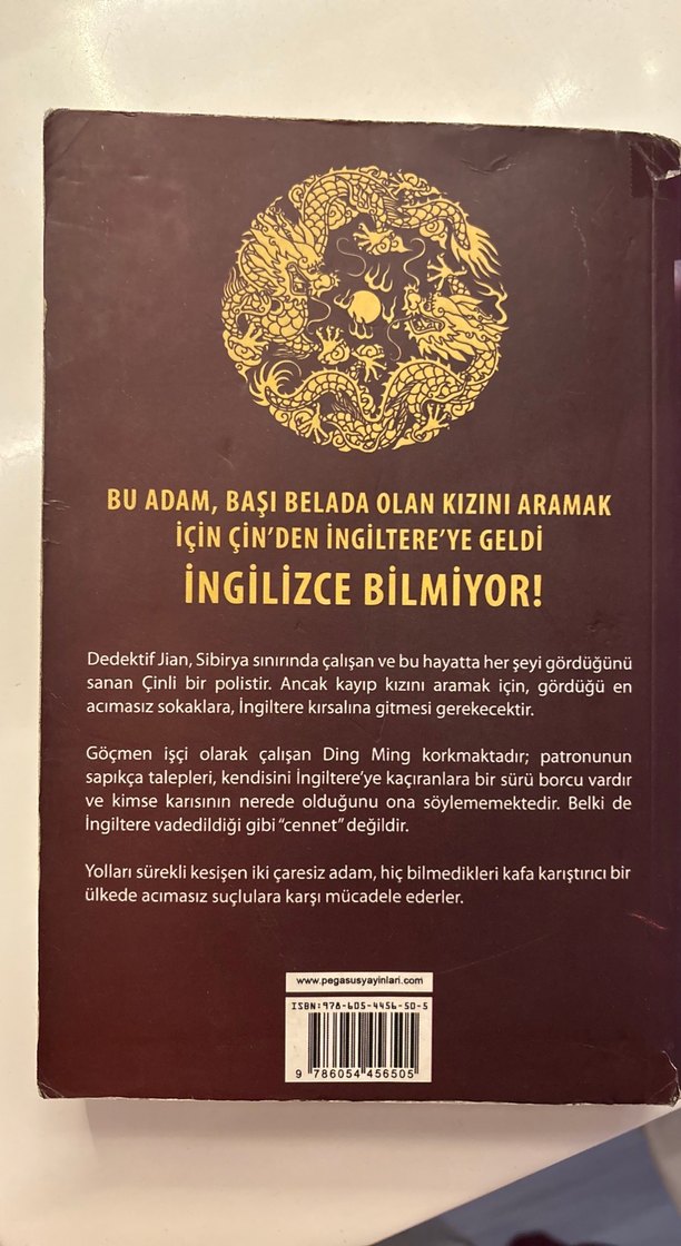 Çin Damasi - Simon Lewis Roman - Görsel 2