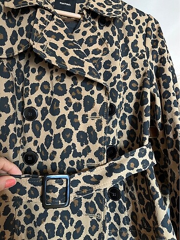 Koton Leopar