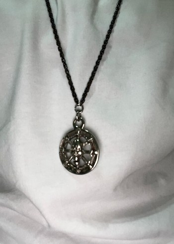 Gri Kuru Kafa Desenli Zincir Kolye - Görsel 7