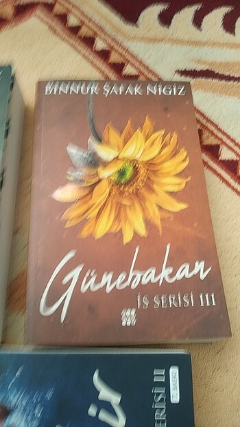  Beden İs serisi