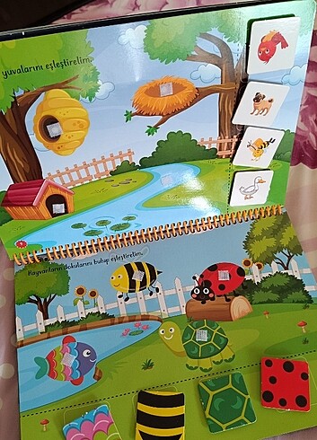 Beden Cırt cırtlı kitap