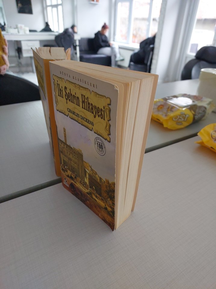 İki Şehrin Hikayesi - Charles Dickens - Görsel 3