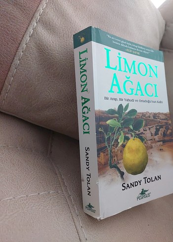 Limon Ağacı - Sandy Tolan - Görsel 4