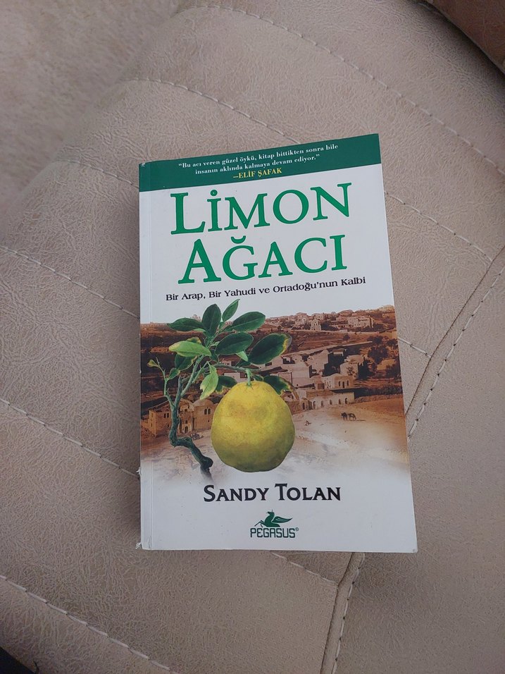 Limon Ağacı - Sandy Tolan - Görsel 3