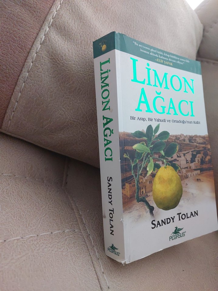 Limon Ağacı - Sandy Tolan - Görsel 4