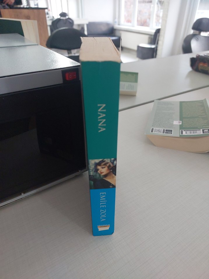 Nana - Emile Zola, Klasik Bestseller Roman - Görsel 4