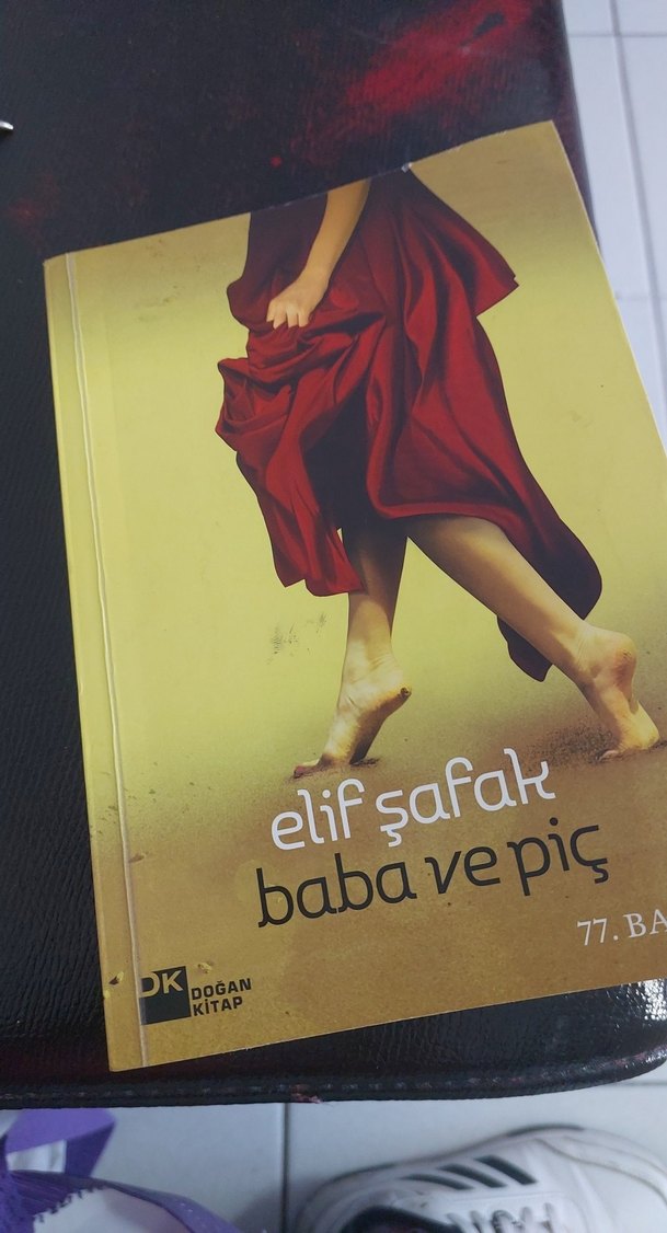 Elif Şafak - Baba ve Piç - Görsel 2