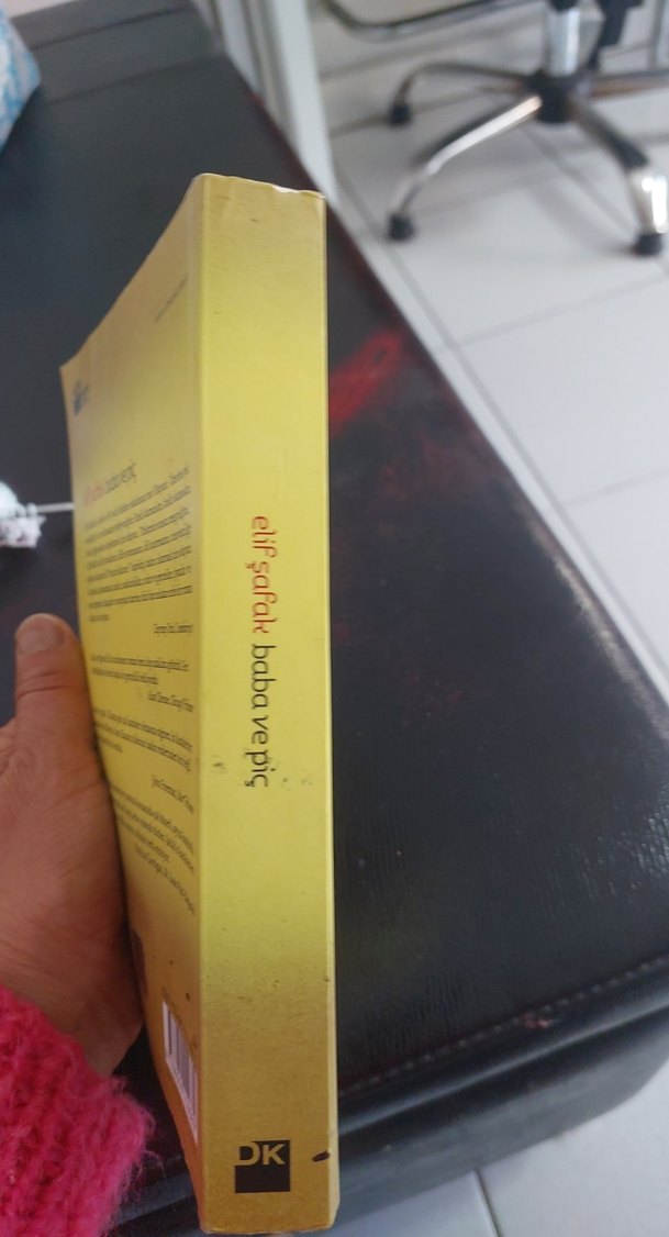 Elif Şafak - Baba ve Piç - Görsel 3