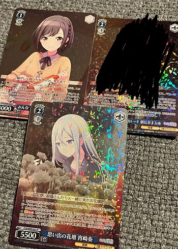 Project sekai - Görsel 5