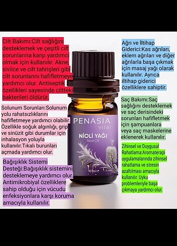 Penisa