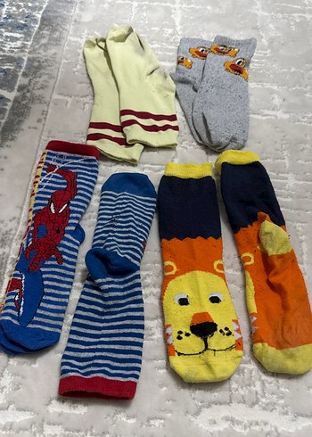 Walt Disney World 31