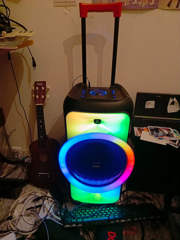 Büyük boy karaoke hoparlör - Görsel 4