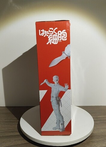 Hataraku Saibou - Görsel 9