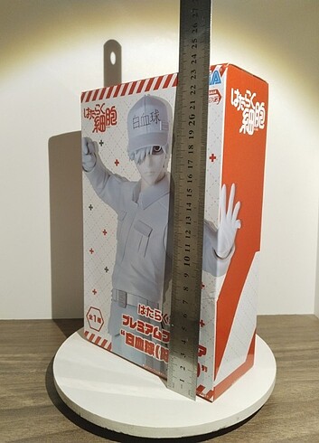 Hataraku Saibou - Görsel 11